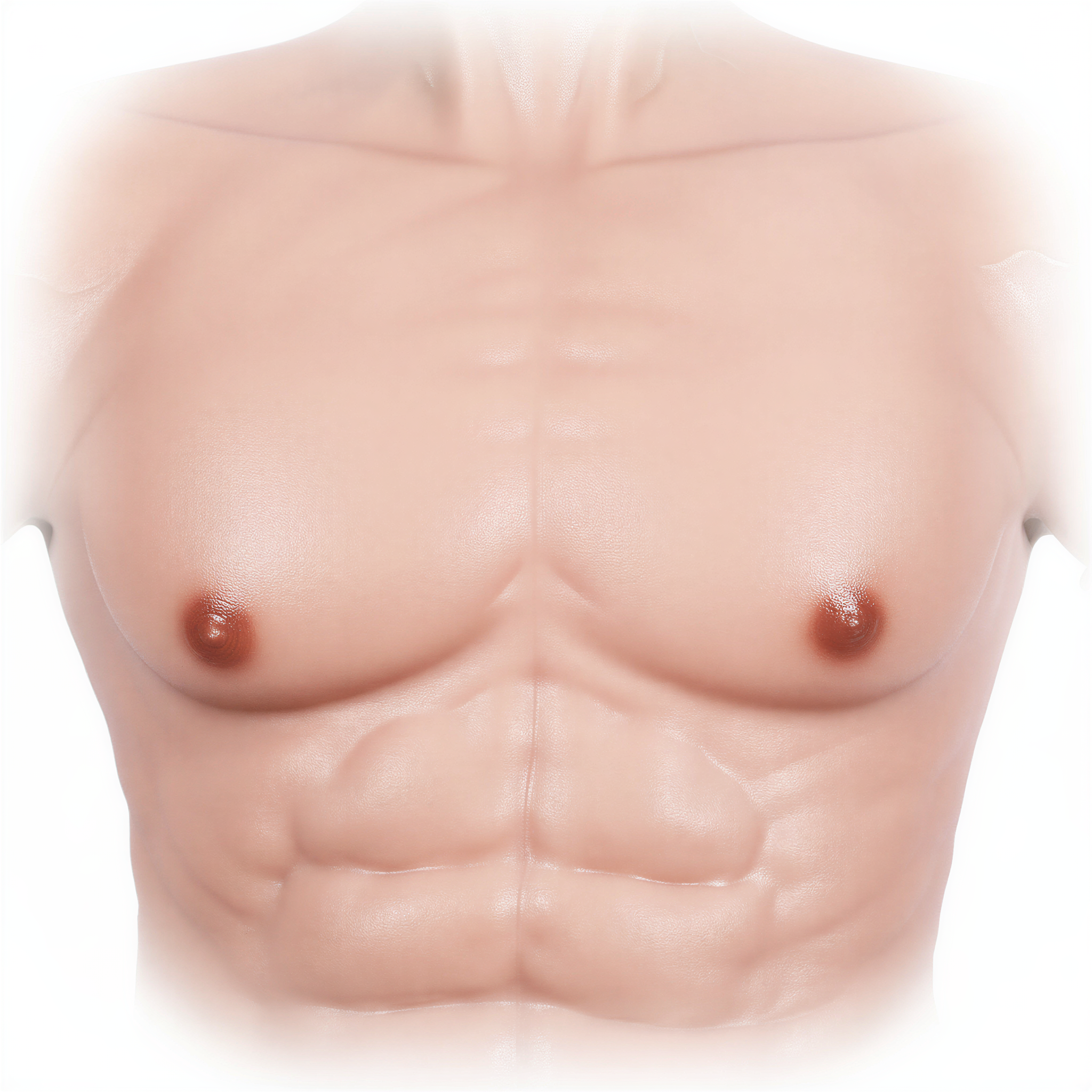 A close-up of a mannequin torso with a focus on the chest area.
